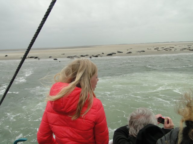 HWK Texel 228.jpg